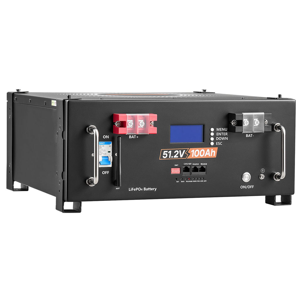 48V 100Ah LiFePO4 Lithium Battery, Built-in 100A BMS, 51.2V Server Rack LiFePO4 Battery with Bluetooth, 5120Wh Capacity, 6000 Cycles, LCD Display, for Solar Energy Storage Home Backup Power