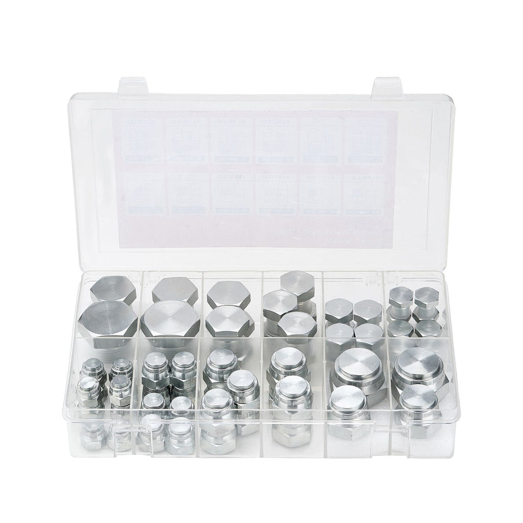 64 PCS BSPP Hydraulic Fittings, Hydraulic Cap and Plug Kit with Precision Threading, Galvanized Steel Heavy Duty Hydraulic Fitting Adapter Kit, Dash Sizes 04/06/08/10/12/16