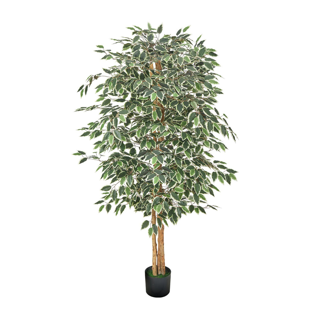 6FT Artificial Ficus Tree with Black Pot, Tall Faux Ficus Plant with Natural Wood Trunk and Realistic Green Leaves, Indoor Fake Silk Tree for Home, Office, Living Room, or Corner Décor