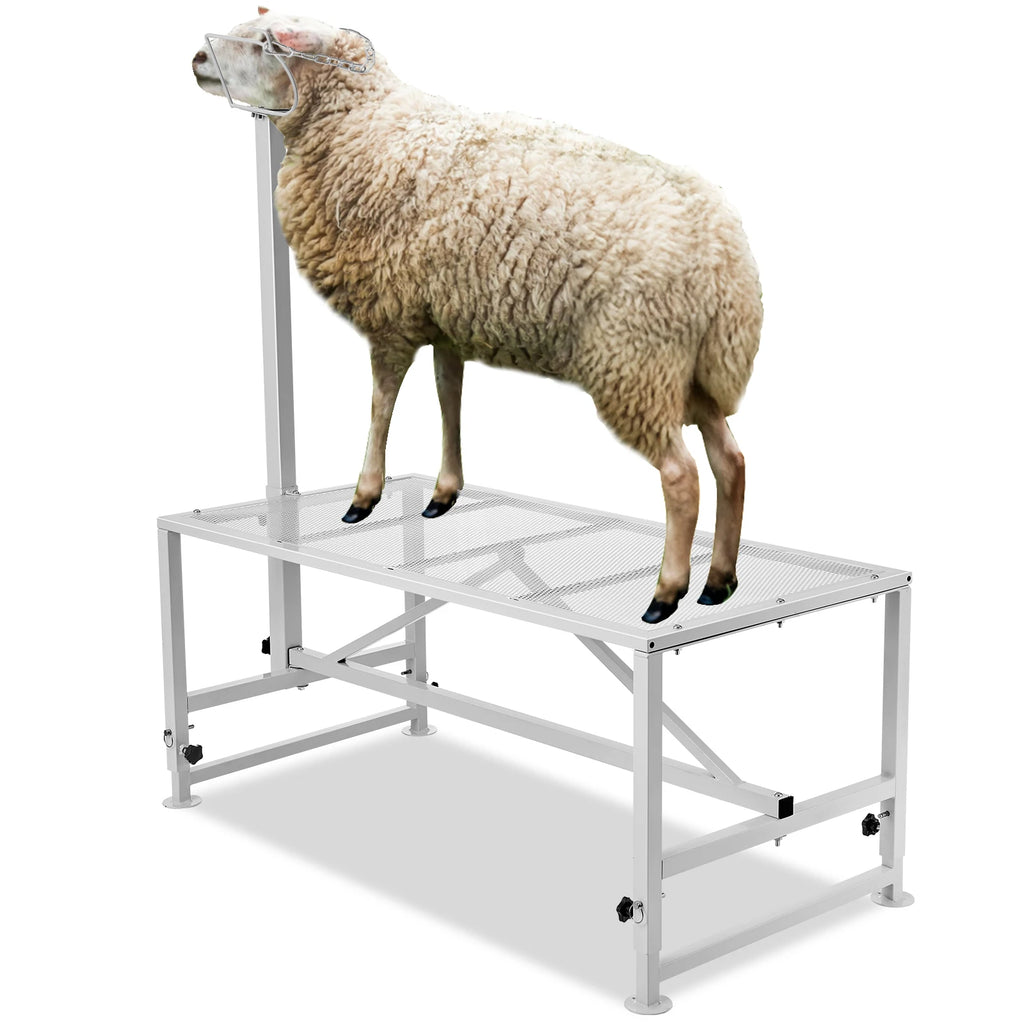 Goat & Sheep Stand 51x23 in Livestock Stand Metal Livestock Milking and Shearing Stand 21" to 33" Adjustable Height  White