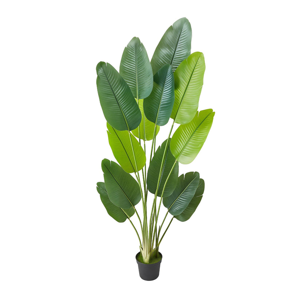 Artificial Bird of Paradise 6 ft Tall, Fake Tropical Plants with with 13 Trunks & White Pot, Faux Floor Silk Tree, Large Trees for Home Office Living Room Decor House Warming, Indoor Outdoor