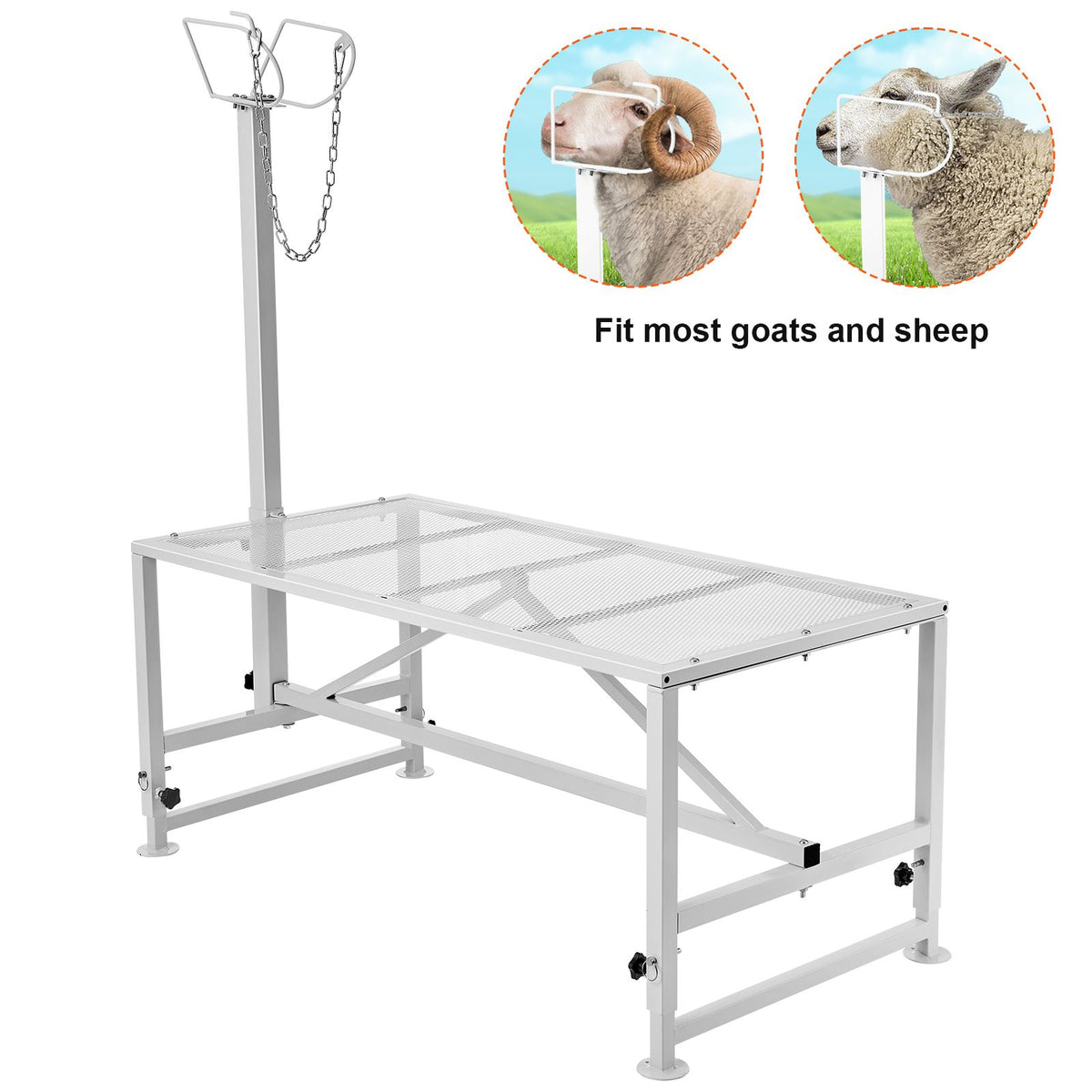 Goat & Sheep Stand, 51x23 inch Livestock Stand, Metal Livestock Mil ...