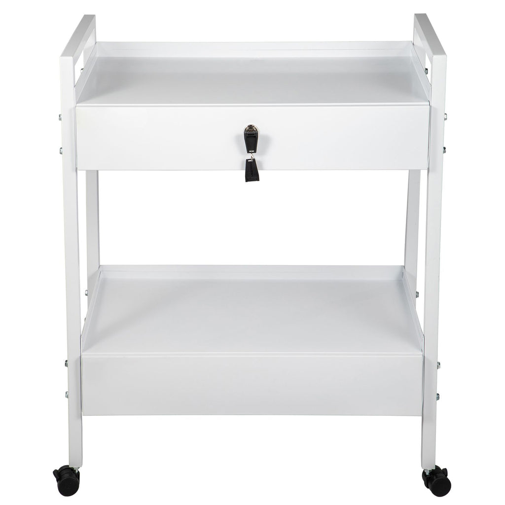 Lab Cart, 2 Tiers Stainless Steel Utility Cart, Medical Cart with 2 Drawers, Rolling Lab Cart White Paint, Serving Cart with Swivel Casters for Laboratory, Hospital, Dental, Salon and Beauty