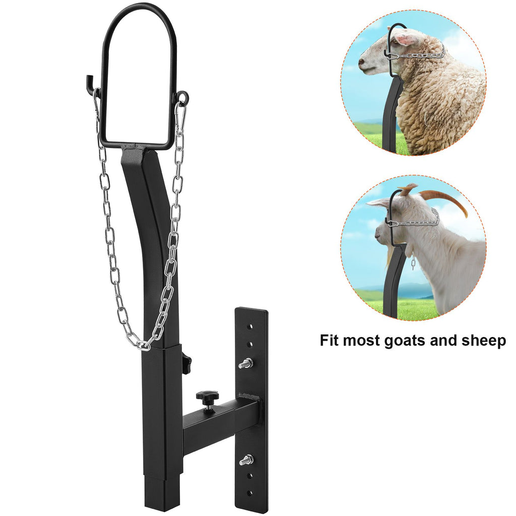 Livestock Trimming Stand, Goat & Sheep Stand 9.37-12.8 inch Adjustable Height 0-5.4 inch Width, Metal Goat Milking and Shearing Stand Attachment Nose Loop Headpiece, Black